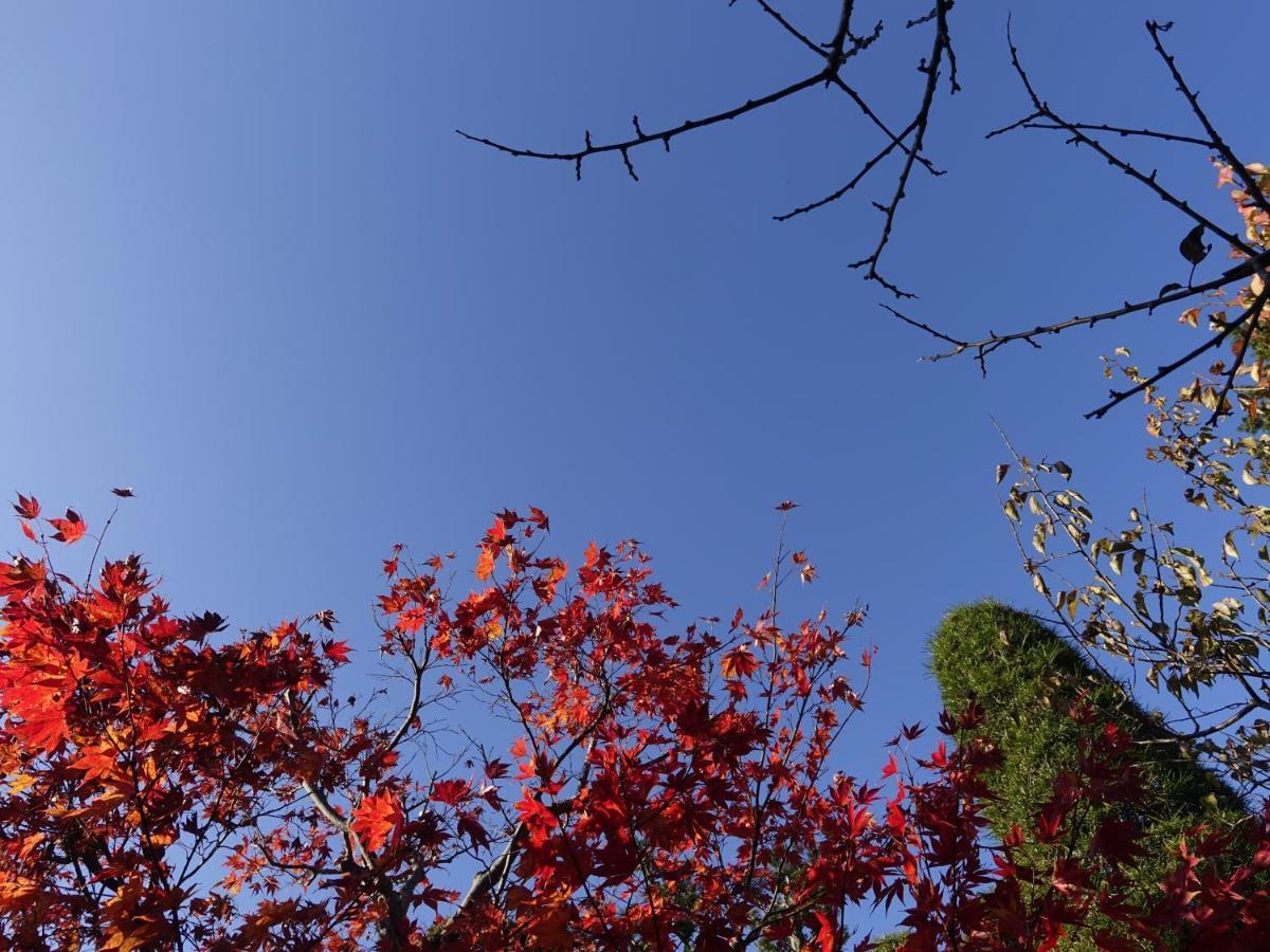 Oimatsuen Saku Exterior foto